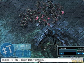 星际争霸2 自由之翼 教战守则 神族篇 下